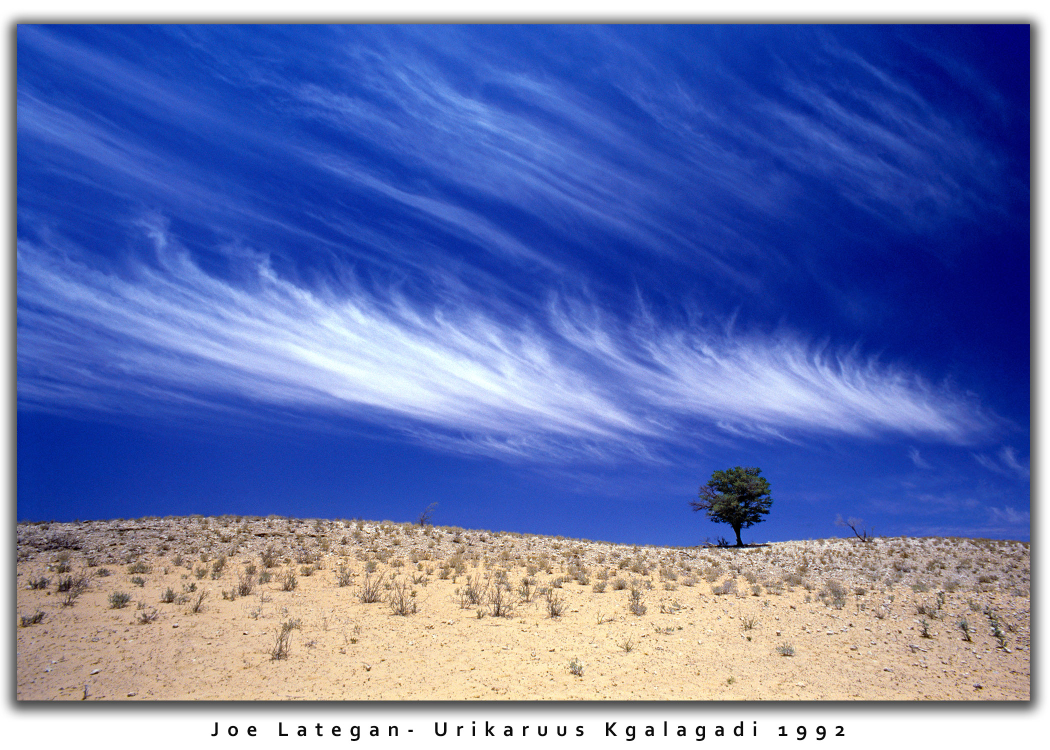 General info & guide to the kgalagadi Transfrontier park